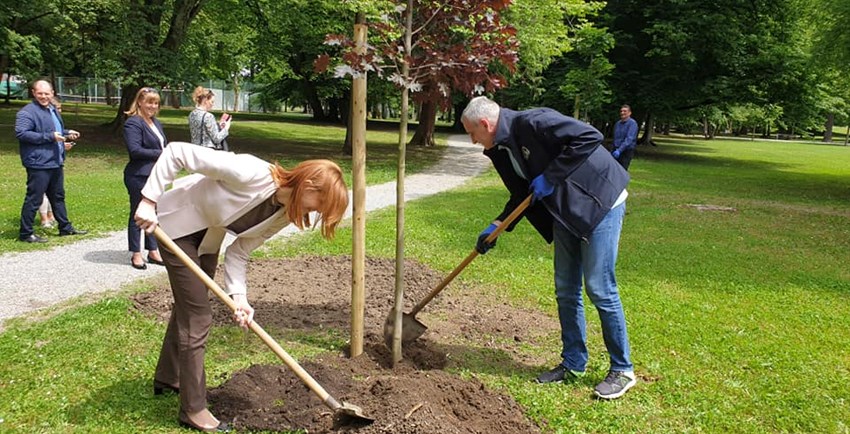 Nova stabla u Vrbanićevom perivoju