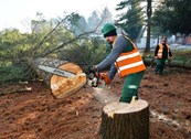 Uređuje se prostor bivše vojarne Luščić