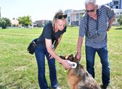 Čipirajte svoje ljubimce i brinite o njima