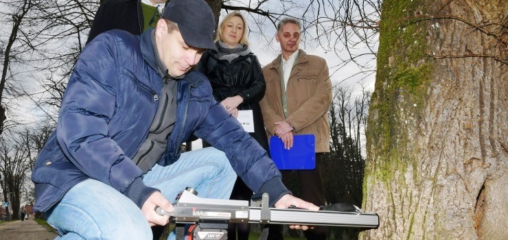 Uskoro novi drvored, šetnica i rasvjeta u Draškovićevoj