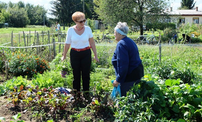 Projekt gradskih vrtova u potpunosti uspio