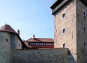 Stari grad Dubovac: Izložba / "Majstor od Zadobarja", 19h